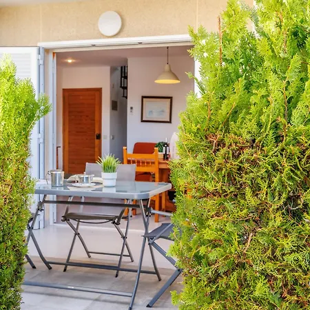 Xiprer, Port de Pollenca