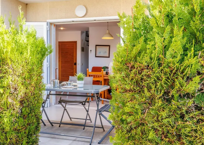 Xiprer, Port de Pollença